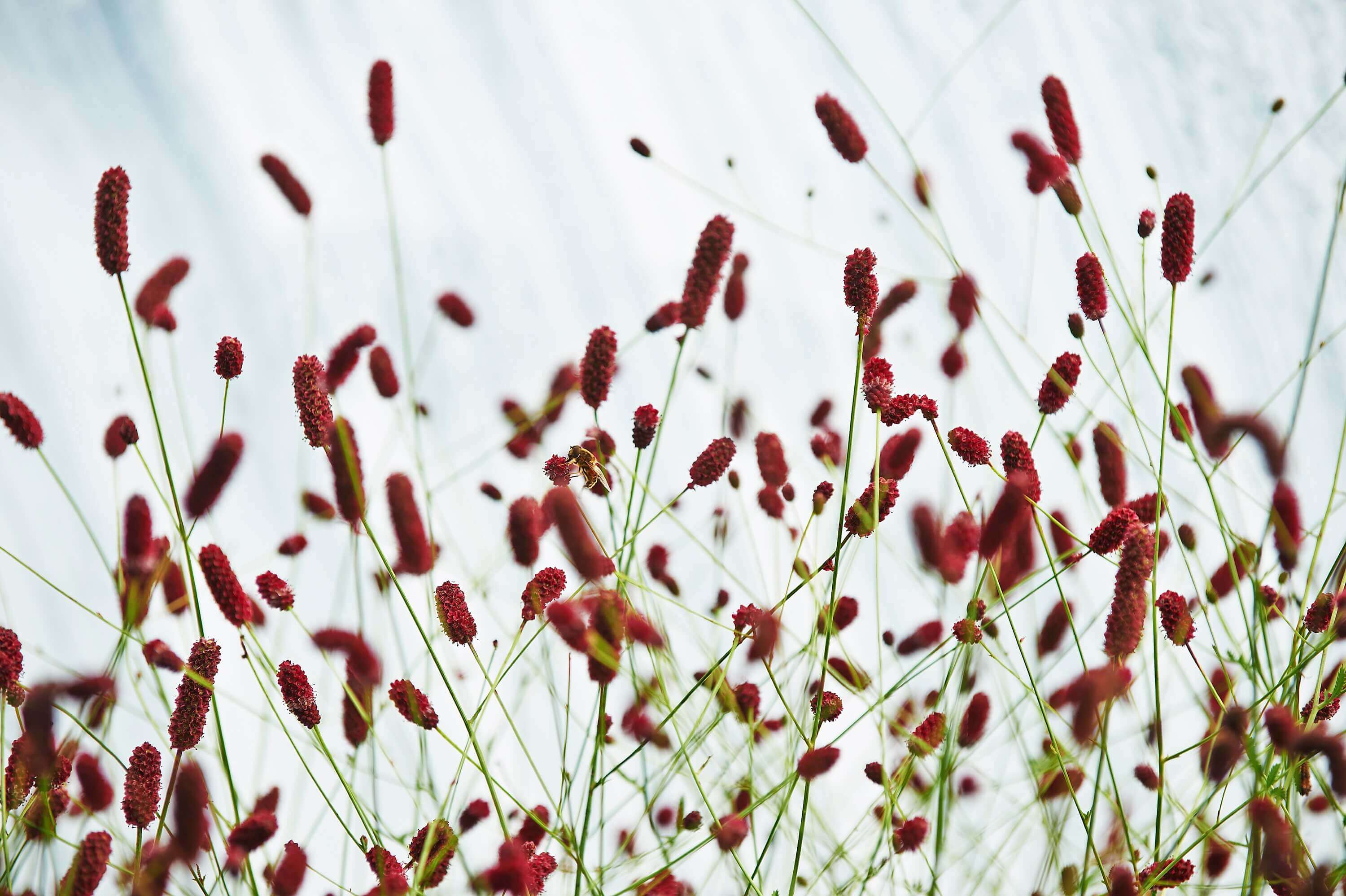 Forest Produce foliage floral solutions