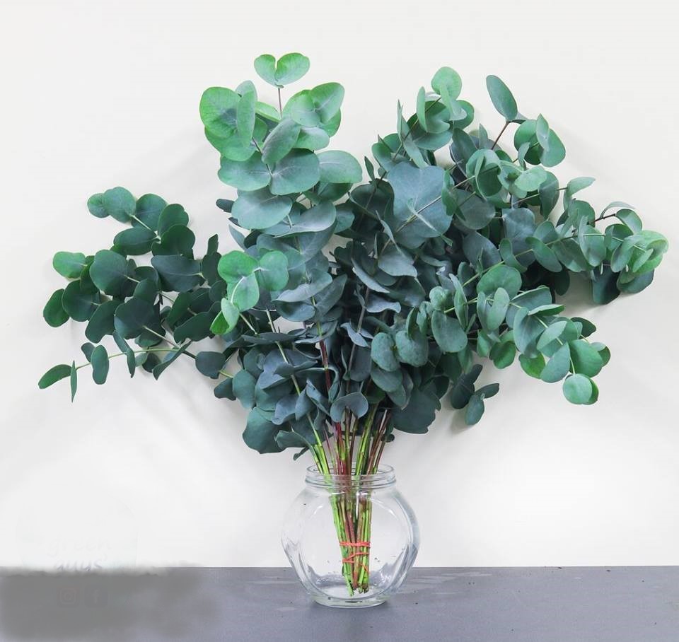 Forest Produce foliage floral solutions