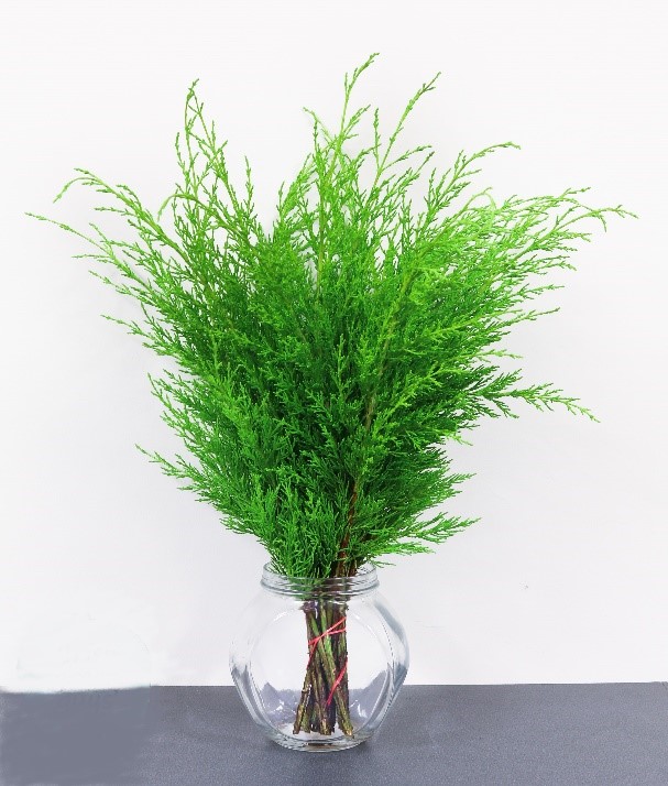 Forest Produce foliage floral solutions
