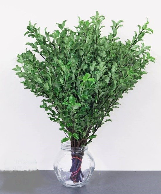 Forest Produce foliage floral solutions