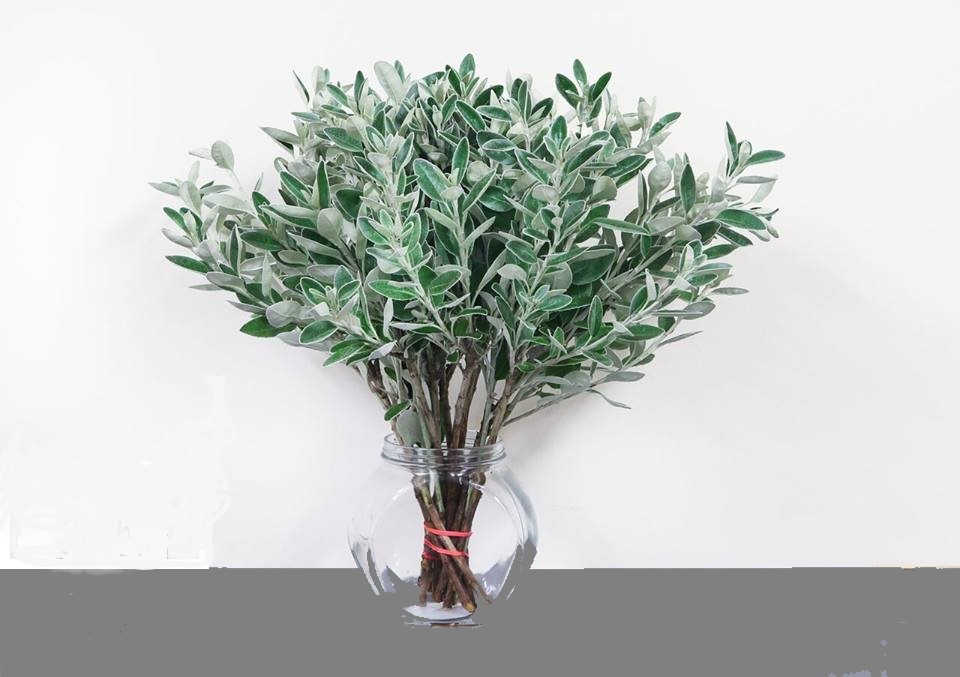 Forest Produce foliage floral solutions