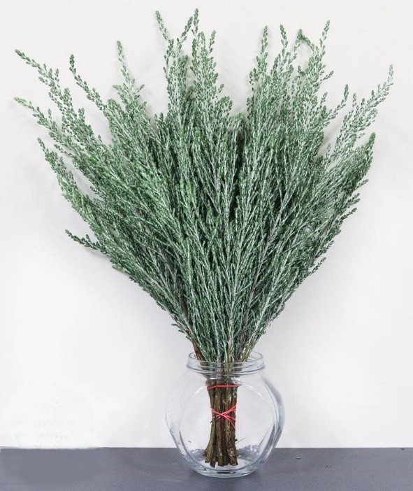 Forest Produce foliage floral solutions