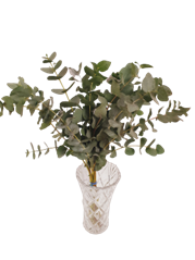 Forest Produce foliage floral solutions