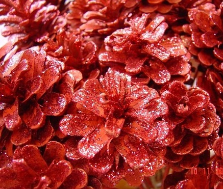 Forest Produce foliage floral solutions